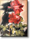 rose_01.jpg